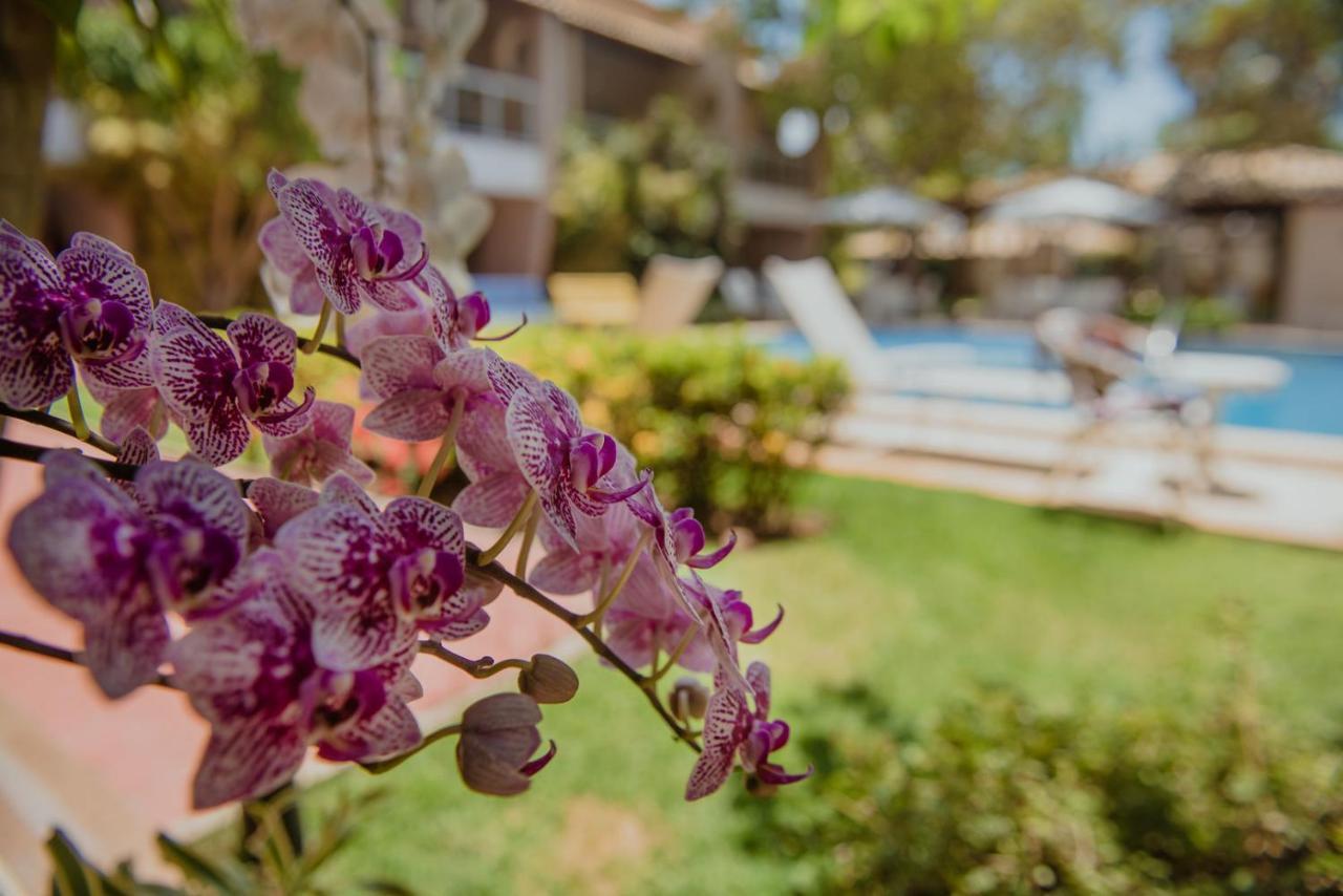 Laguna Ville 06 Итакимирим Екстериор снимка
